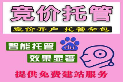 揭秘百度竞价托管外包成功案例背后的策略